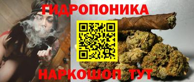 spice Ипатово